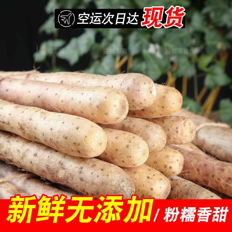 铁棍山药