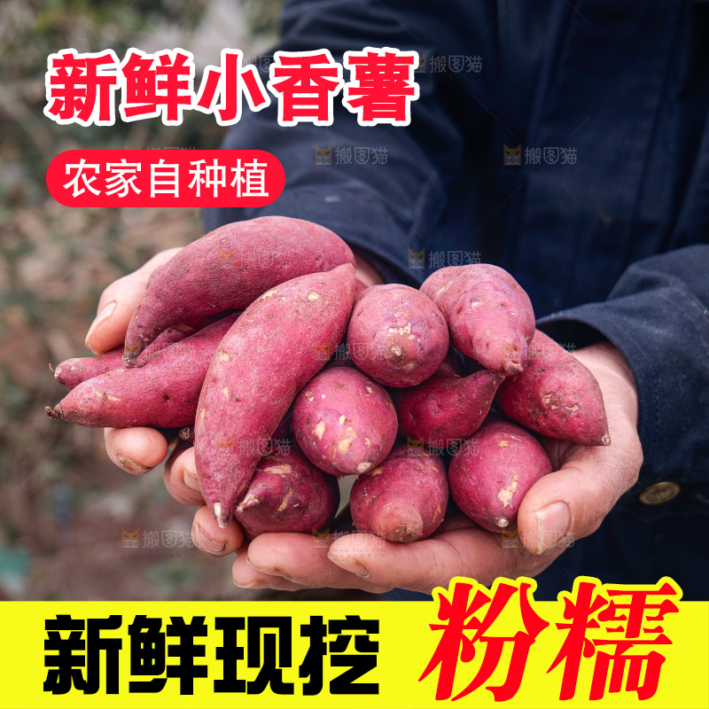 小香薯