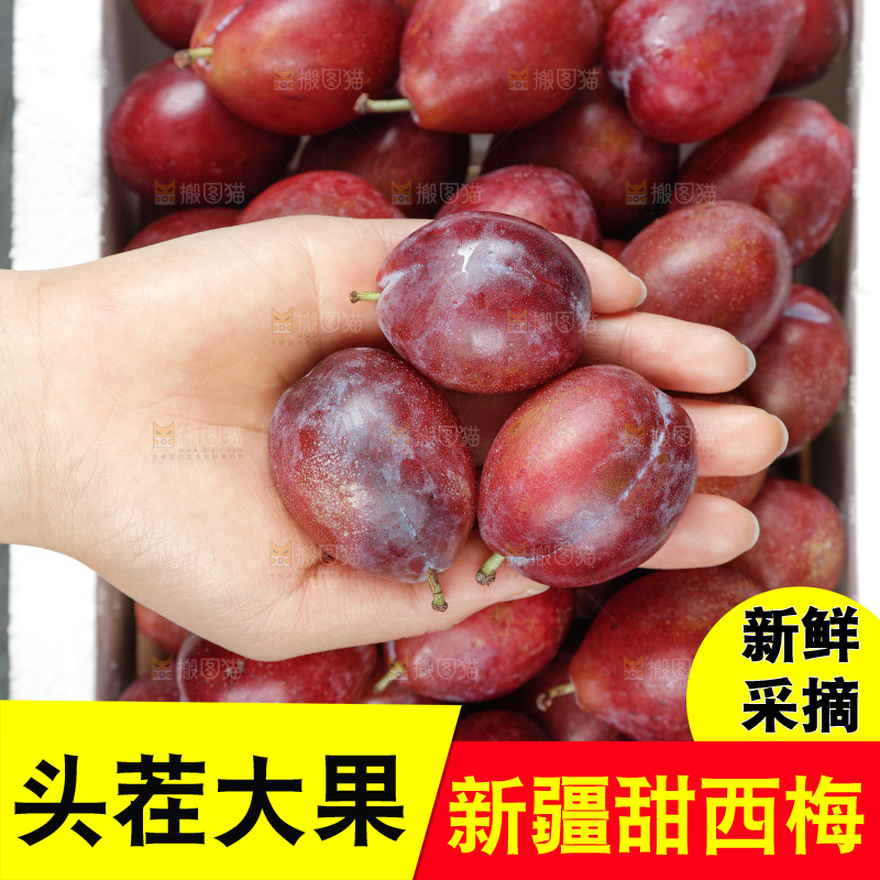 西梅