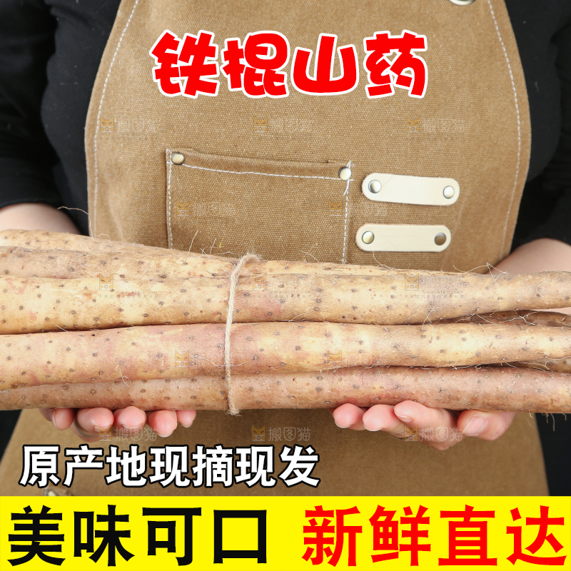铁棍山药