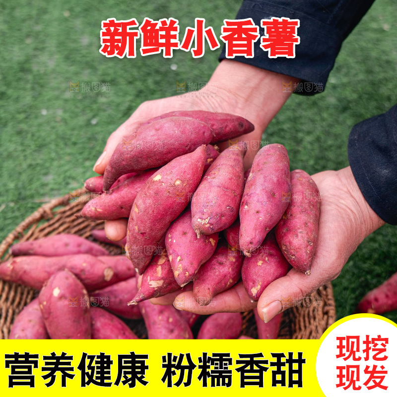 小香薯