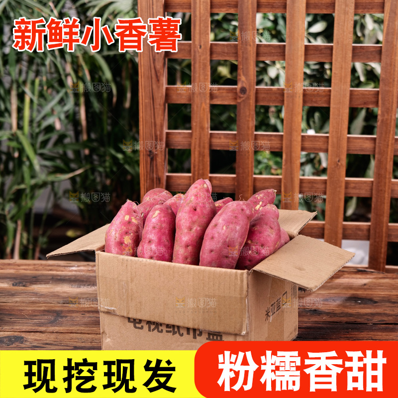 小香薯