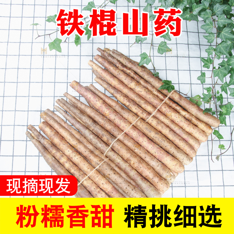 铁棍山药