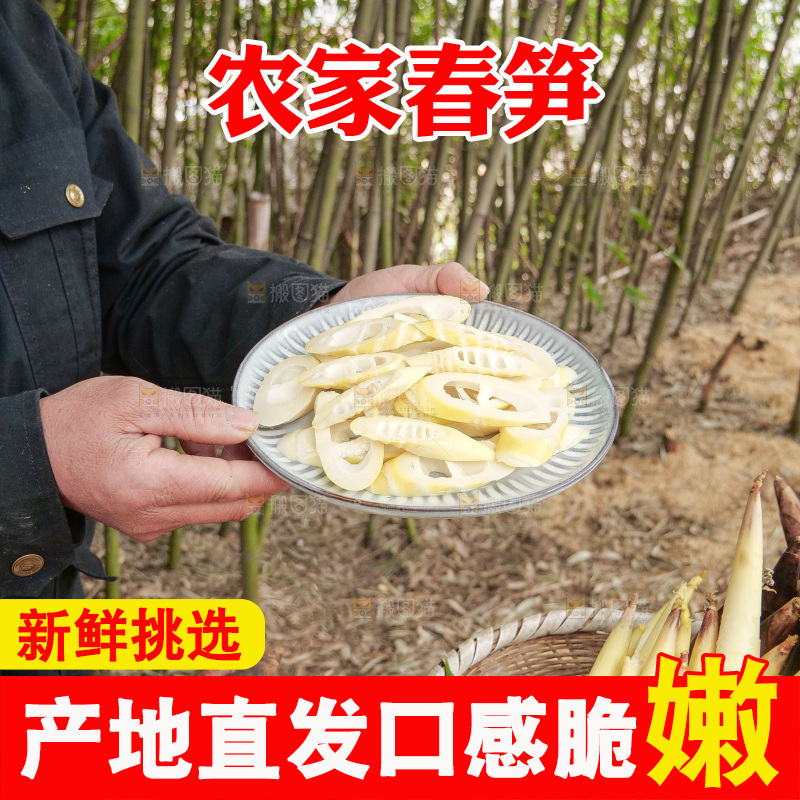 春笋