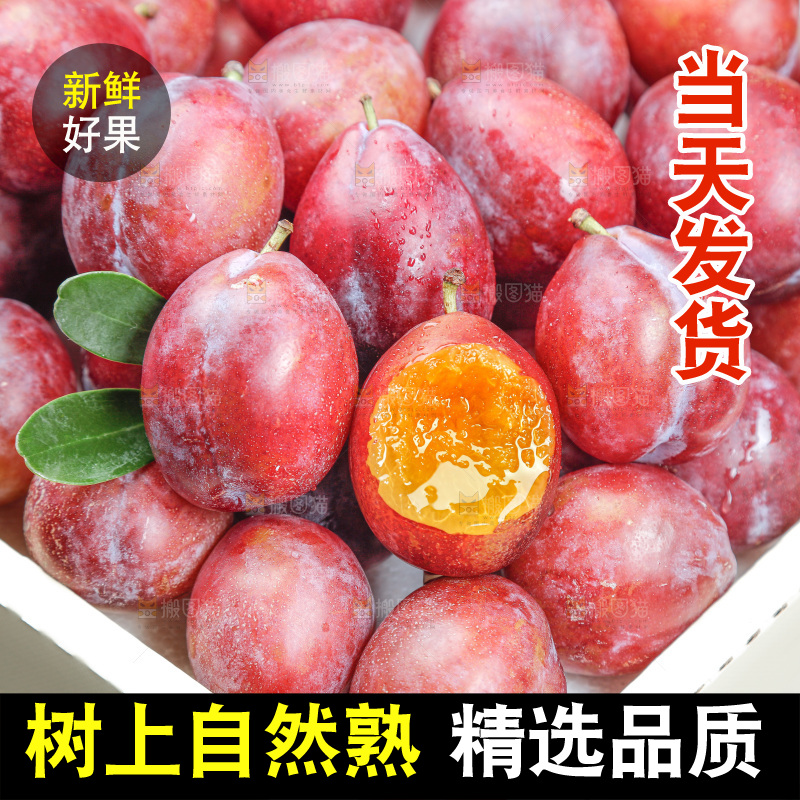 西梅
