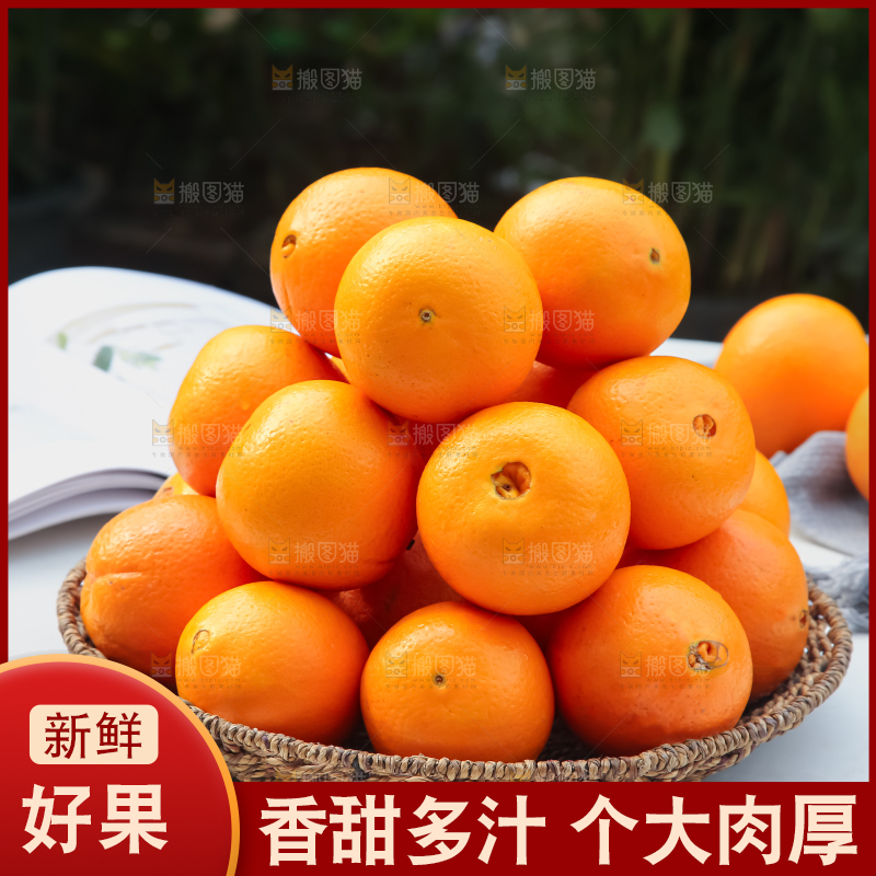 脐橙