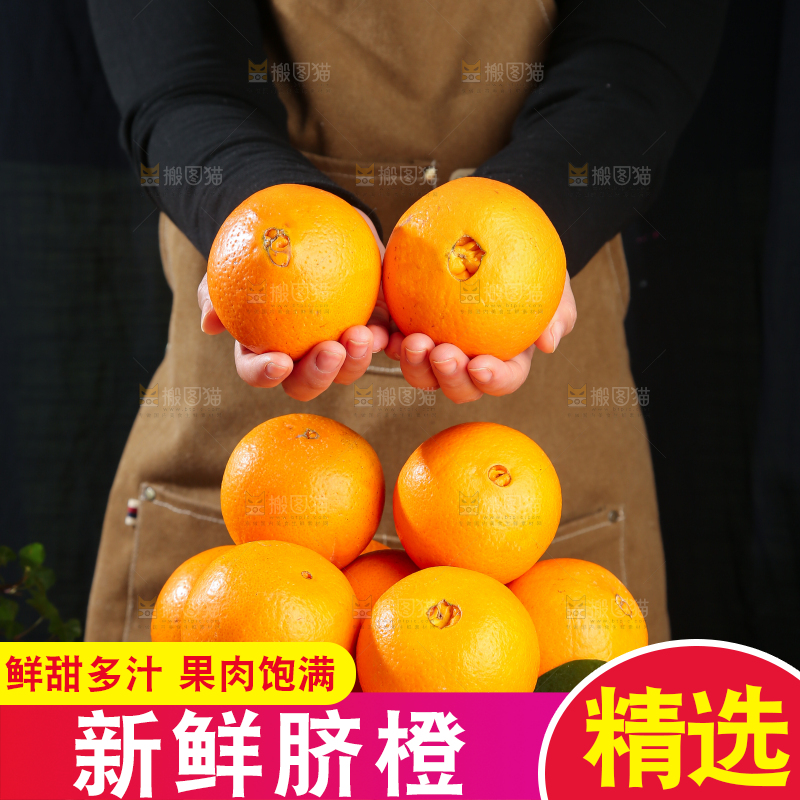 脐橙