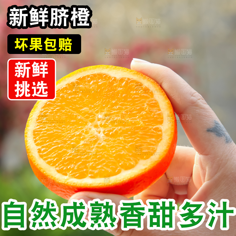 脐橙