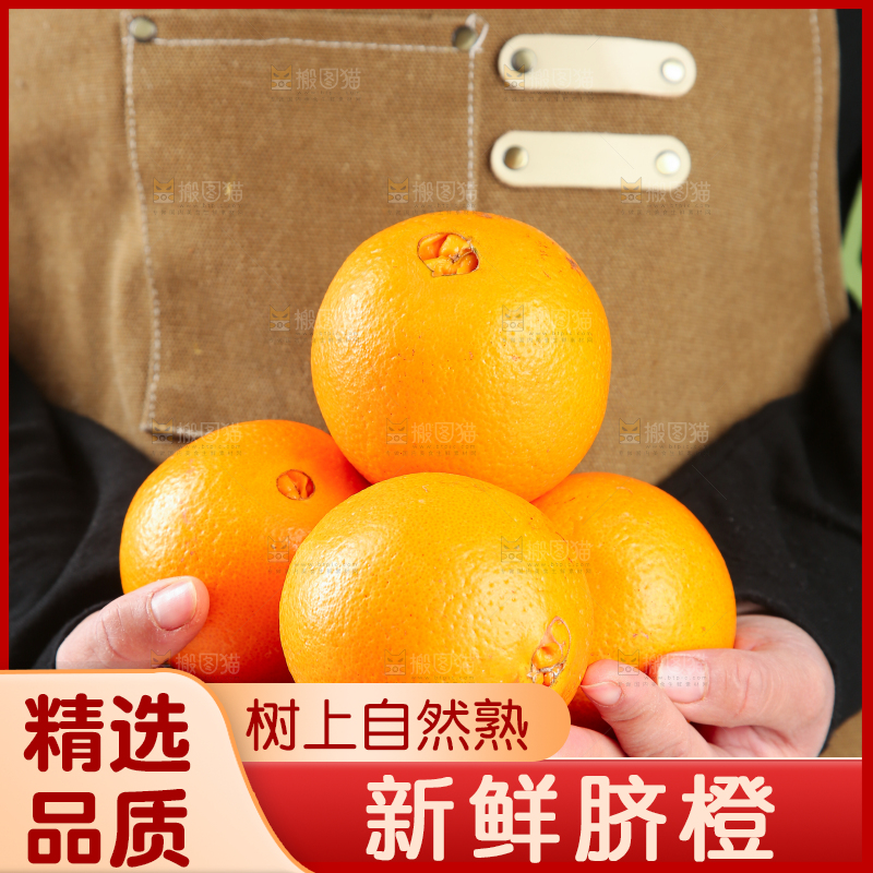 脐橙