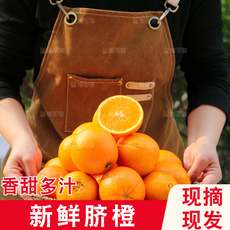 脐橙