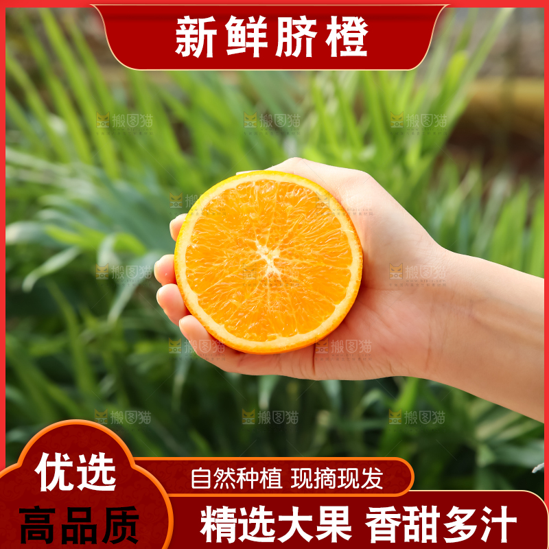 脐橙
