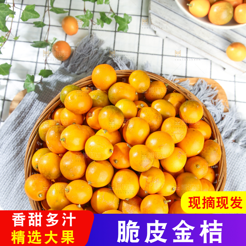 脆皮金桔