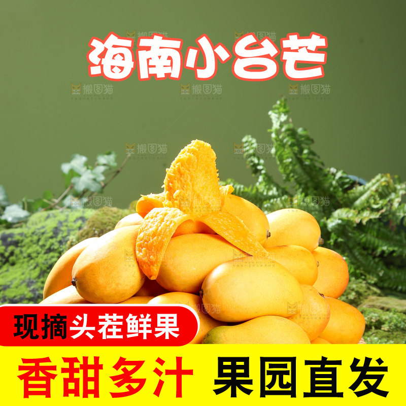 小台芒
