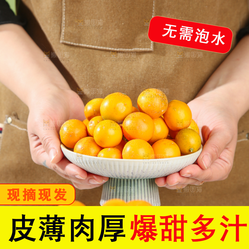 脆皮金桔