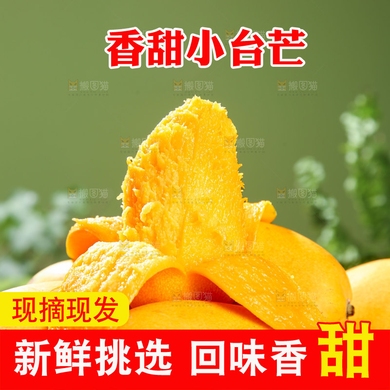 小台芒