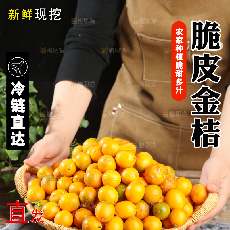 脆皮金桔