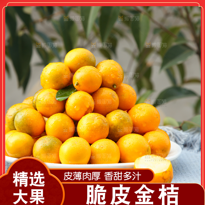 脆皮金桔