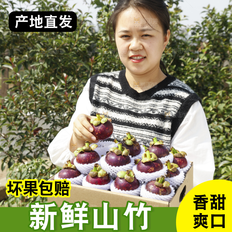 山竹