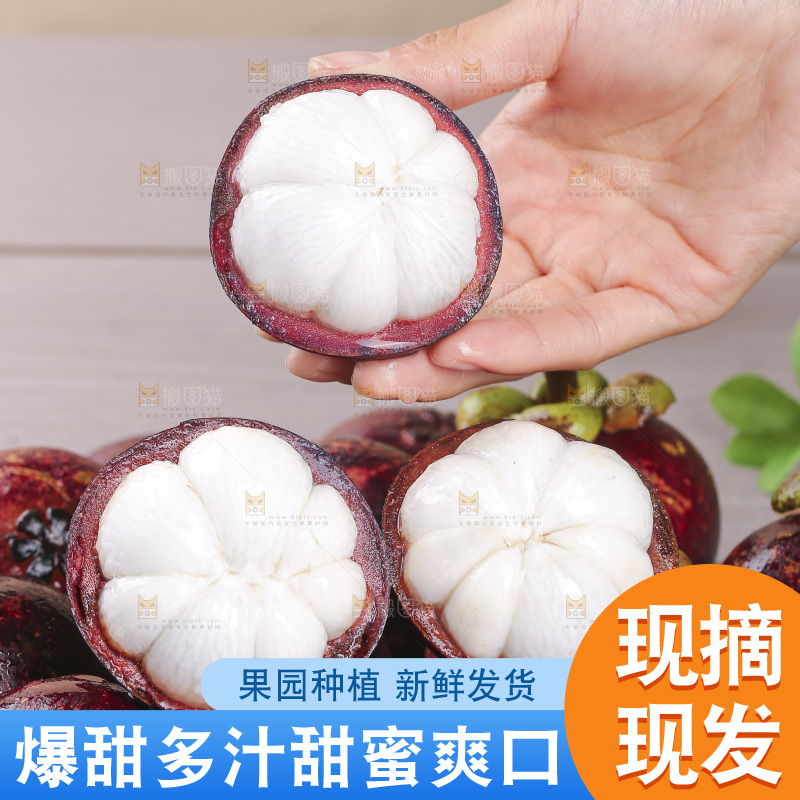 山竹