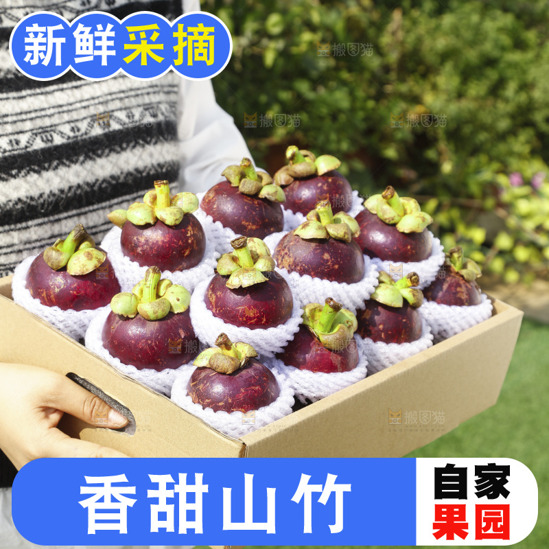 山竹