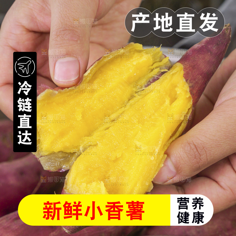 小香薯