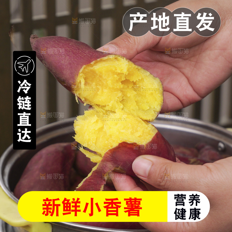 小香薯