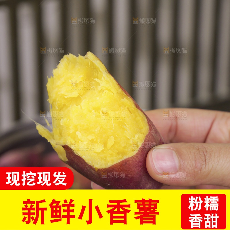 小香薯