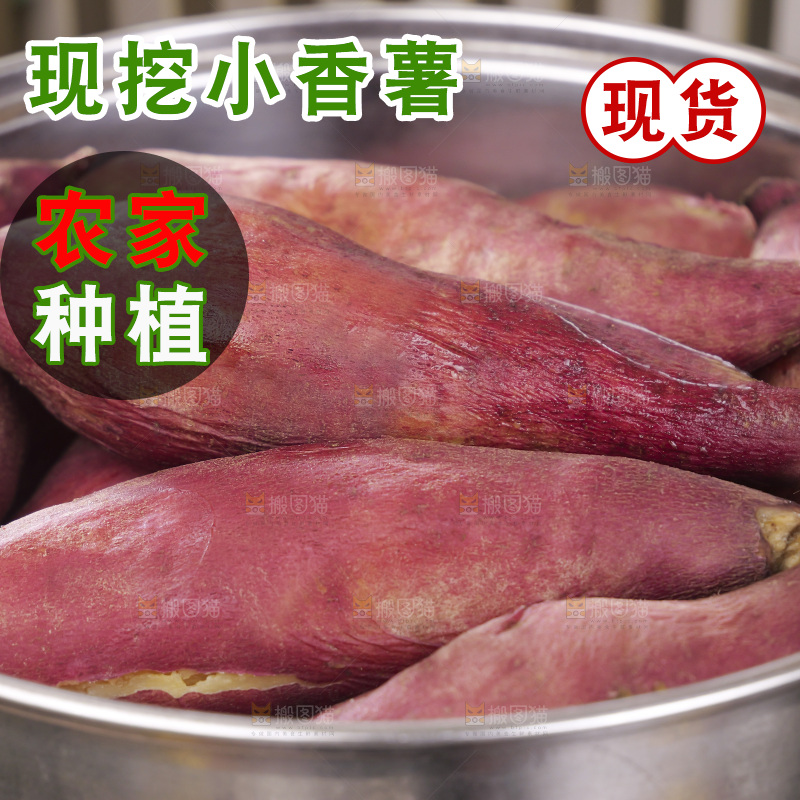 小香薯