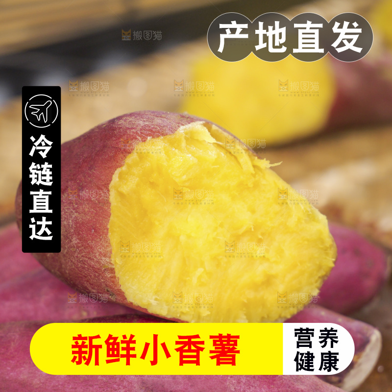小香薯