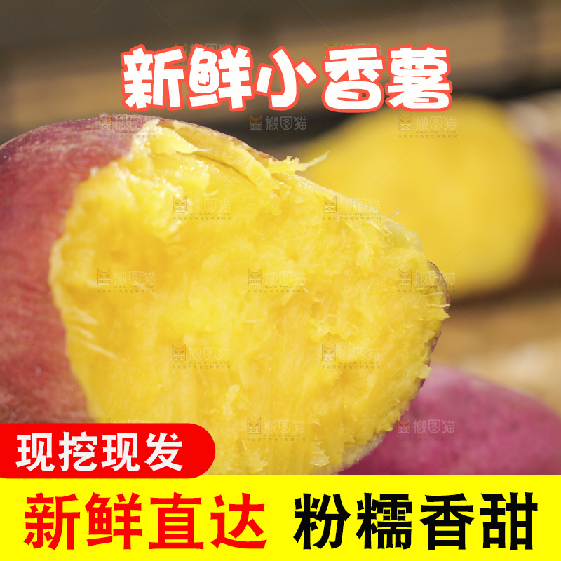 小香薯