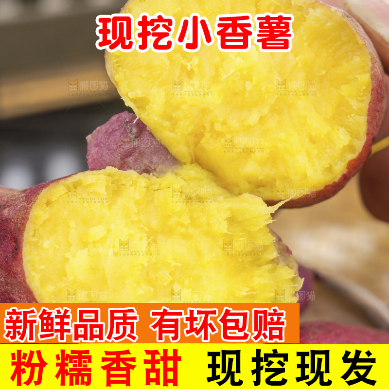 小香薯
