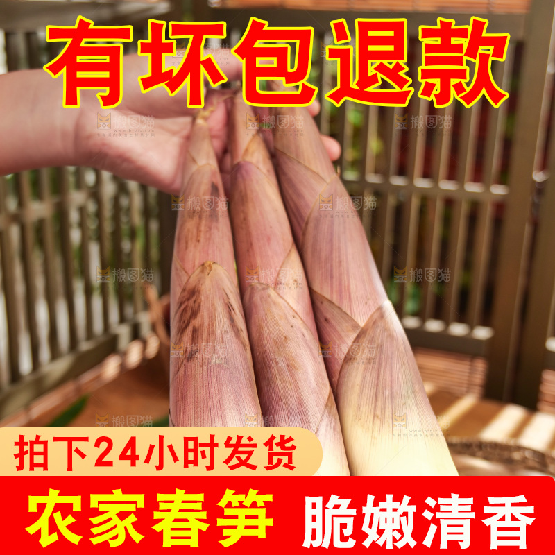 春笋