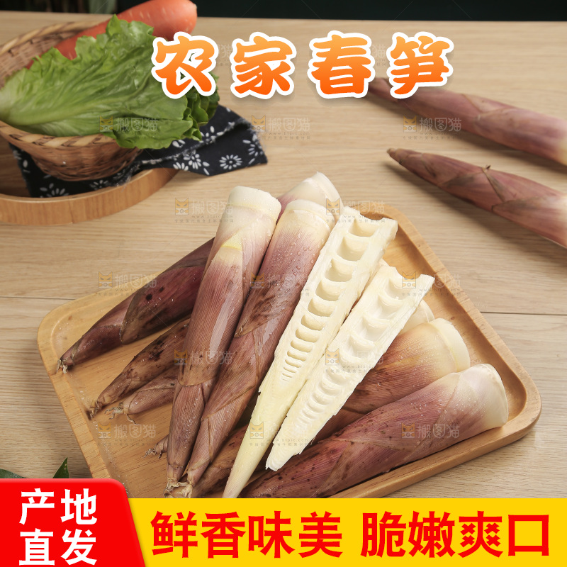 春笋