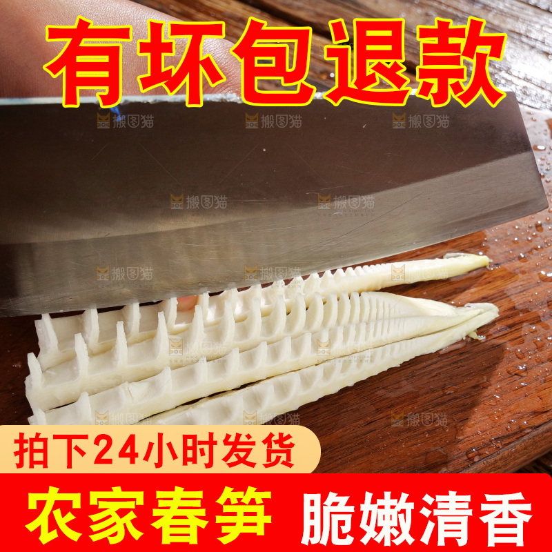 春笋
