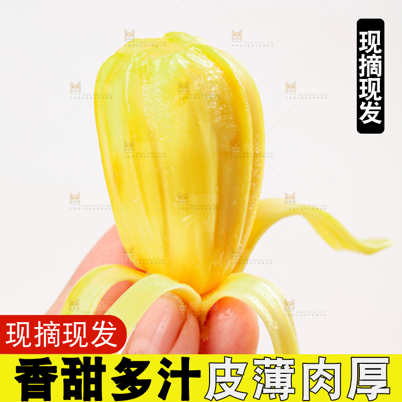 菠萝蜜