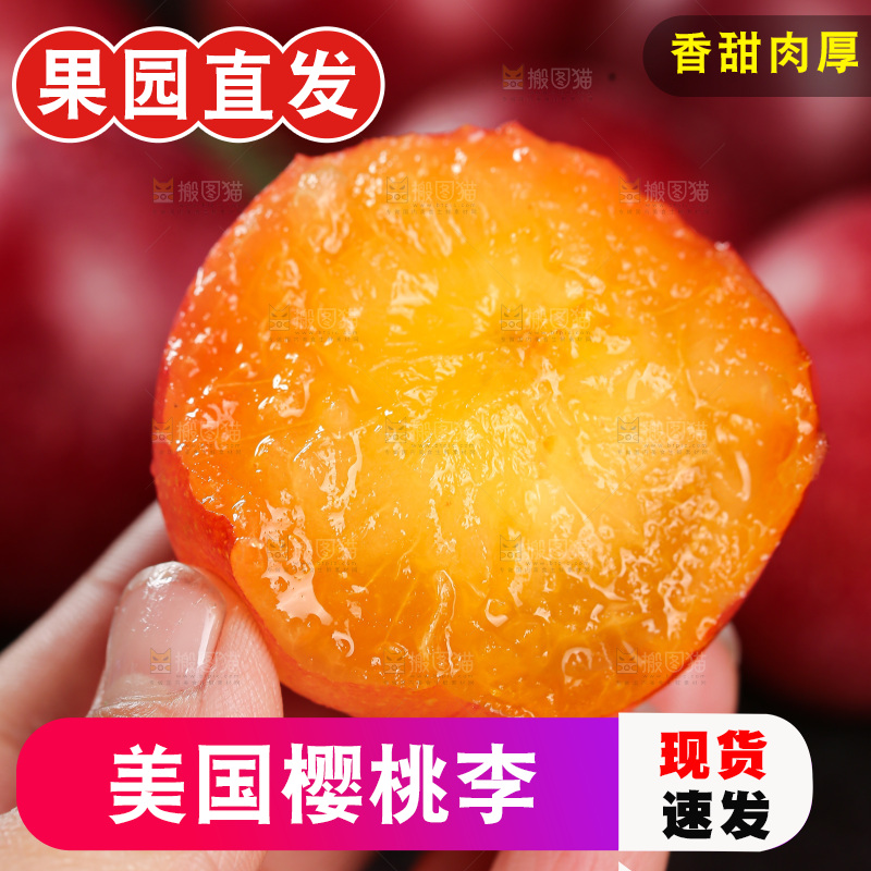 樱桃李