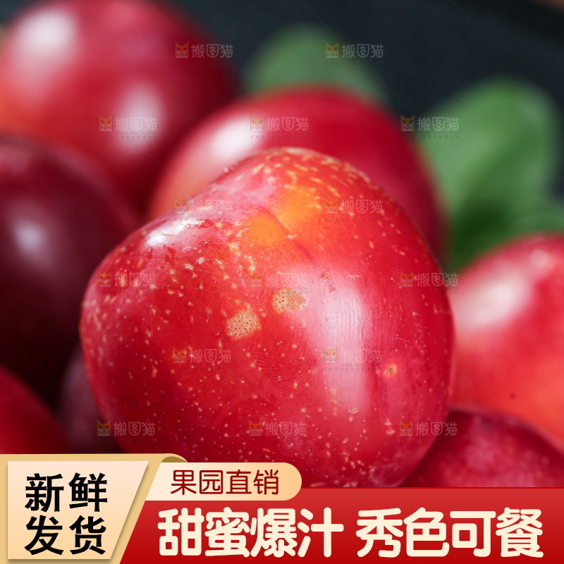 樱桃李