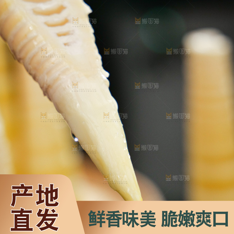 春笋