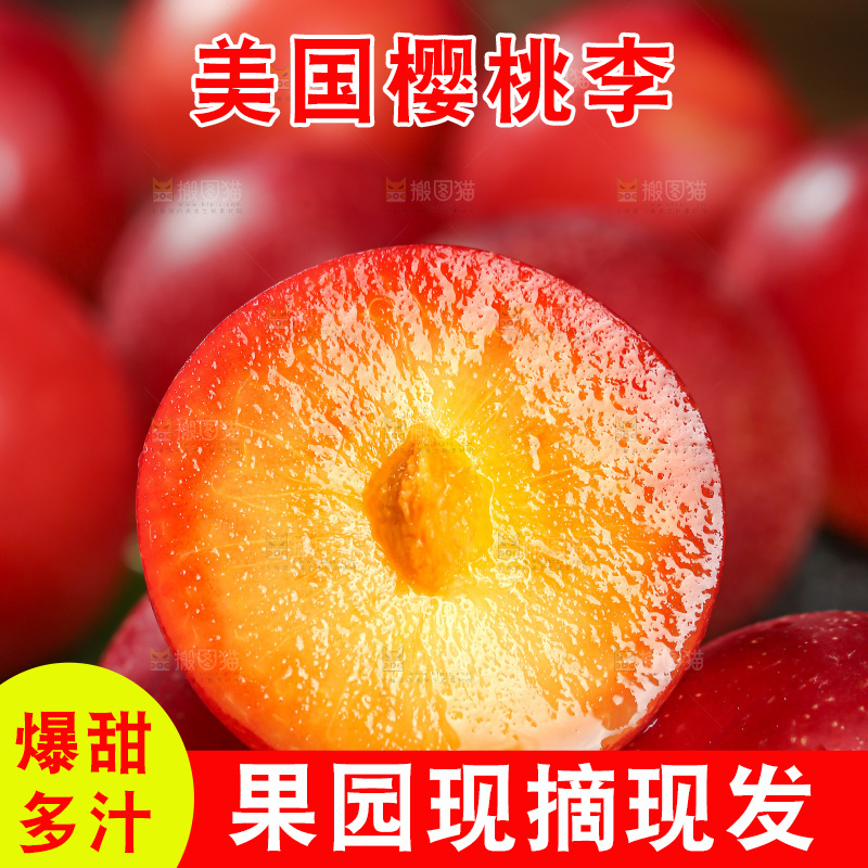 樱桃李