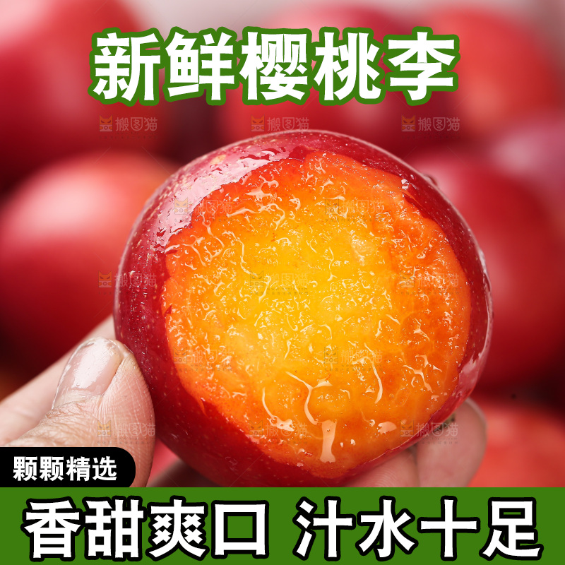 樱桃李