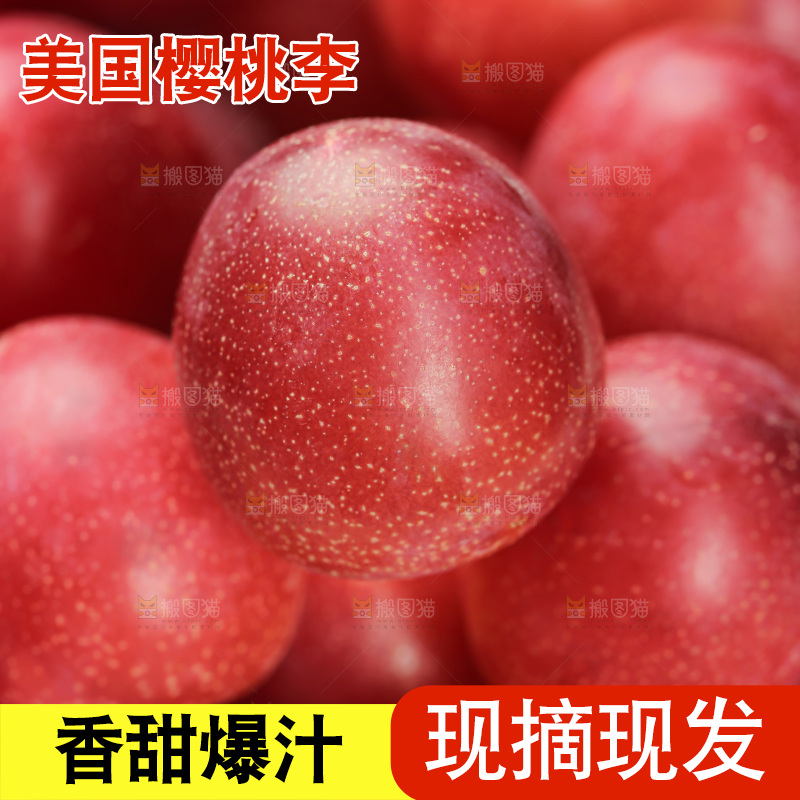 樱桃李