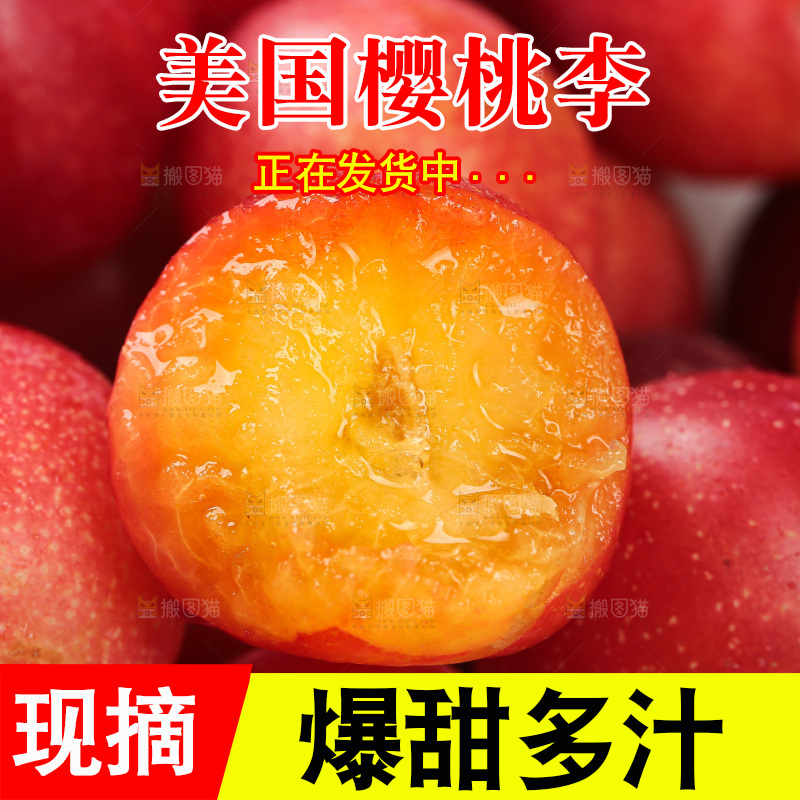 樱桃李