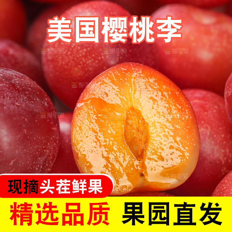 樱桃李