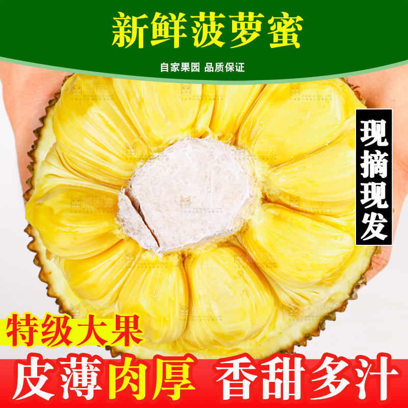 菠萝蜜