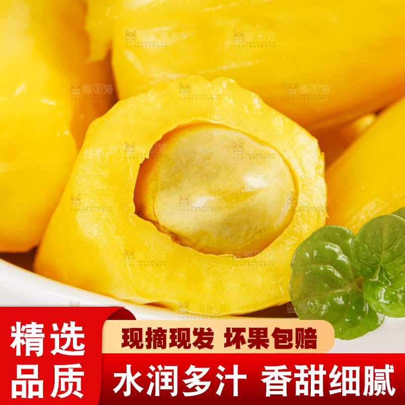 菠萝蜜