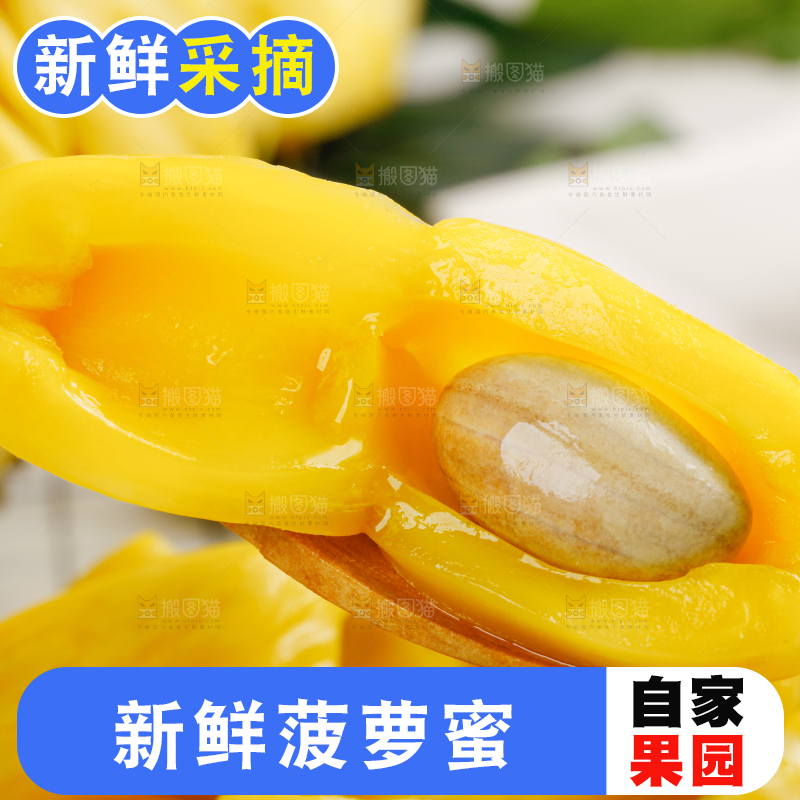 菠萝蜜