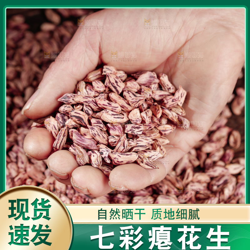 七彩瘪花生