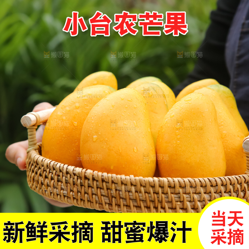 小台芒