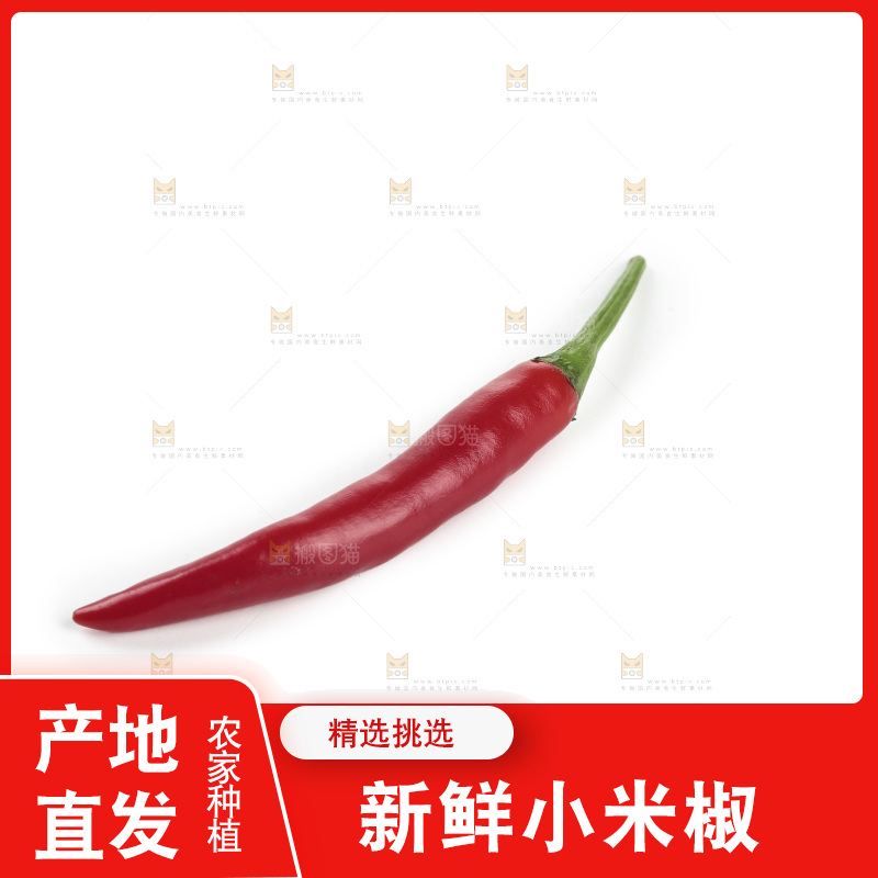 小米辣