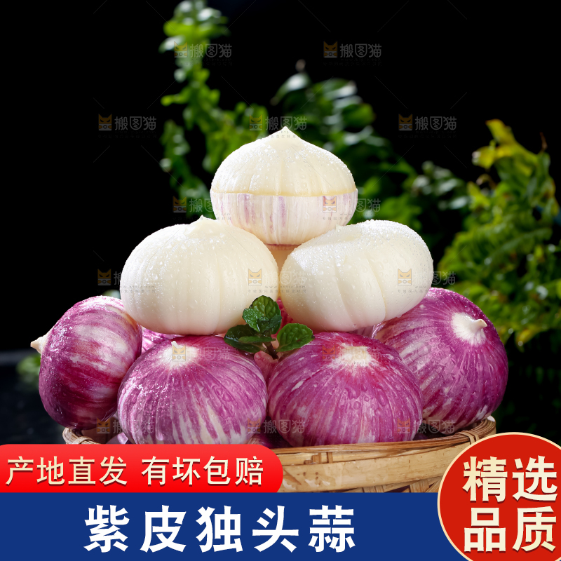 独头蒜